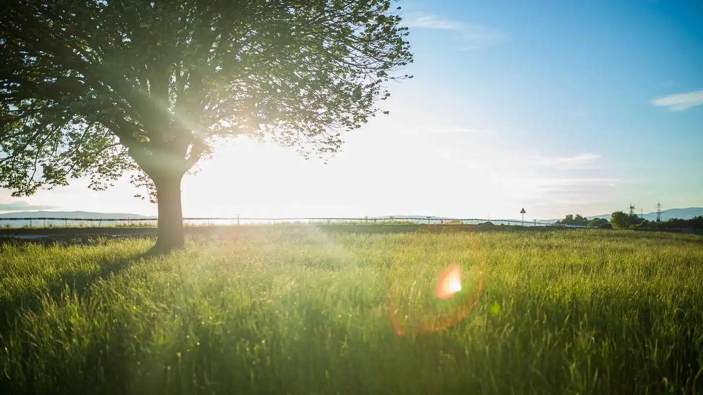 阳光唯美风景图片电脑桌面壁纸
