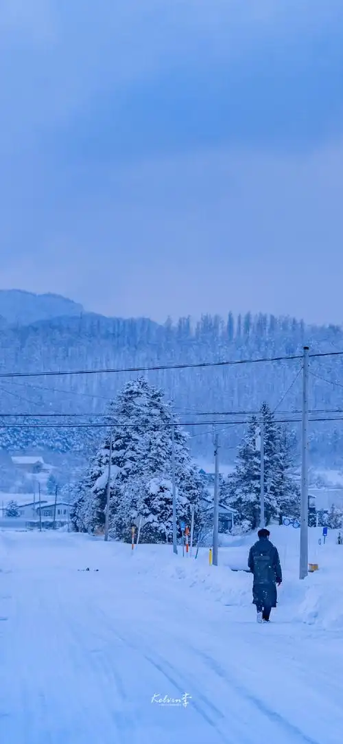 凛冬散尽,星河长明.