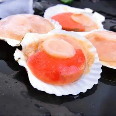 新鲜买的扇贝可以放急冻吗? 可以的.不过要注意方法.