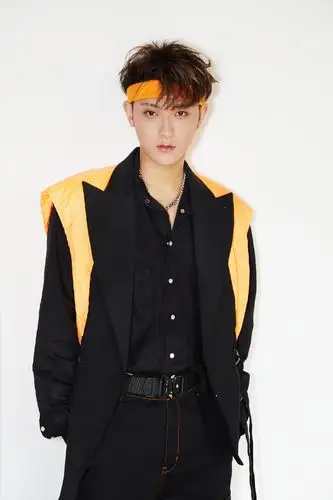 黄子韬酷帅工装写真图片14