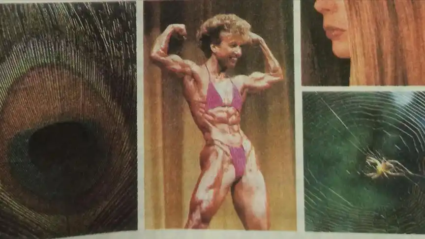 人教版高一生物课本蛋白质女王出处找到了!