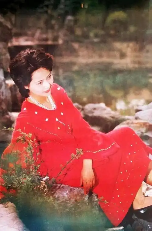 著名男星袁苑与演员妻子相爱相杀生活中有洁癖