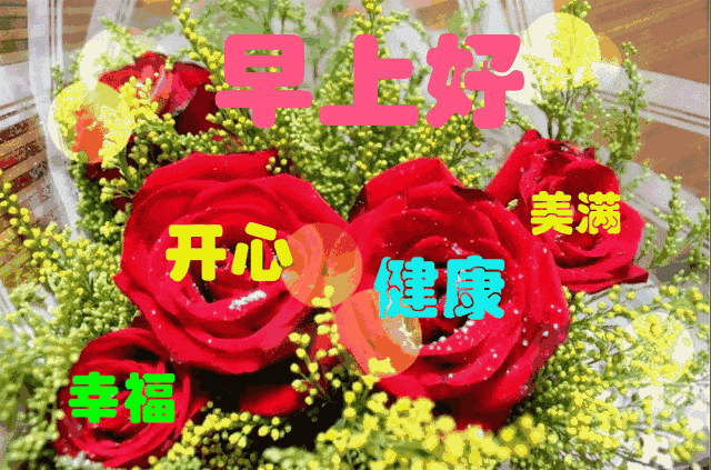 早安问候语录早安图片祝福动态
