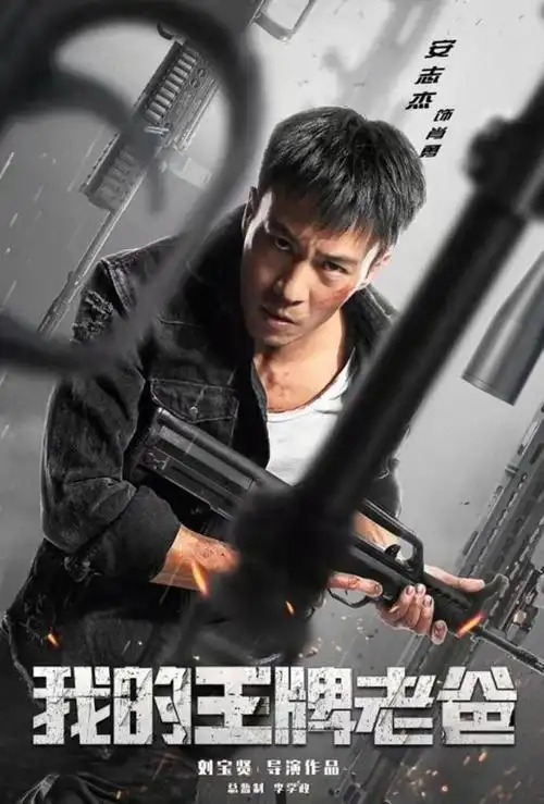 2004年和成龙大哥,谢霆锋合作《新警察故事》,参演2012年口碑极佳的