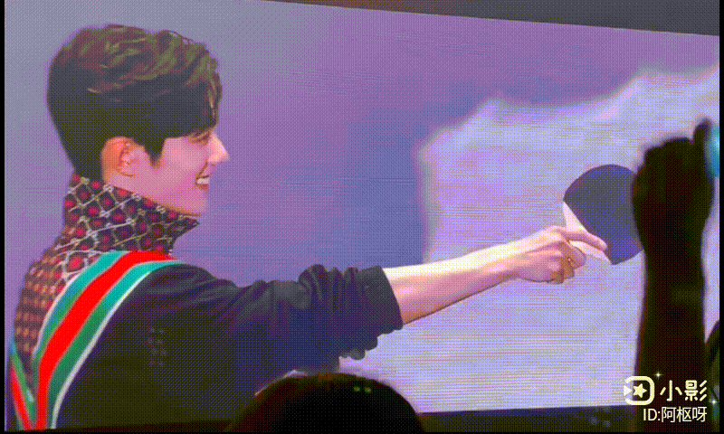 肖战 王一博动图陈情令泰国见面会