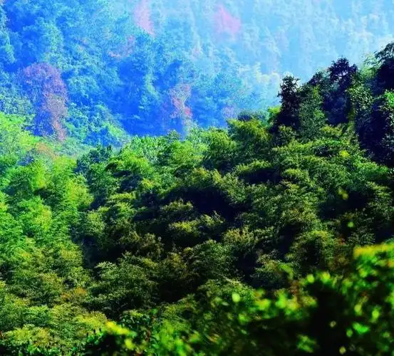 已经成为新余城市的后花园还有环山公路和登山游步道自然景观惟妙惟肖