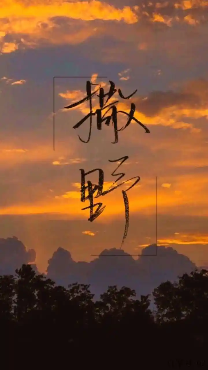 你们要的《撒野》全屏壁纸来了