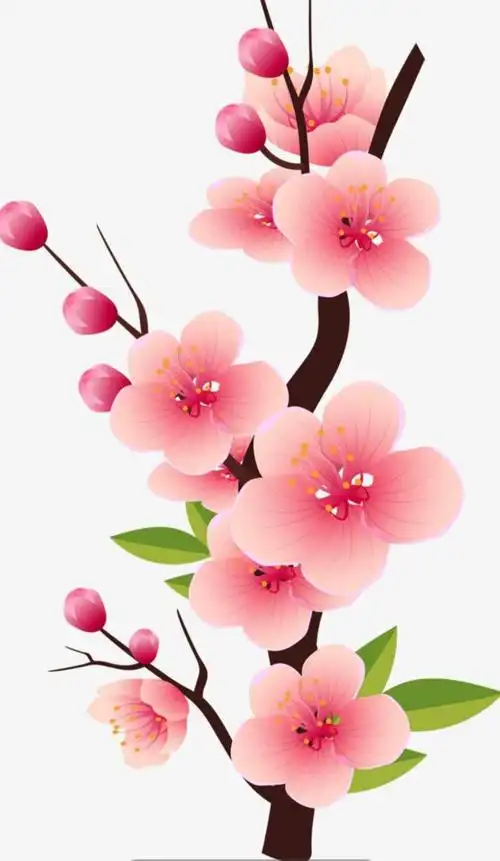 爱的陪伴----桃花宝宝试入园