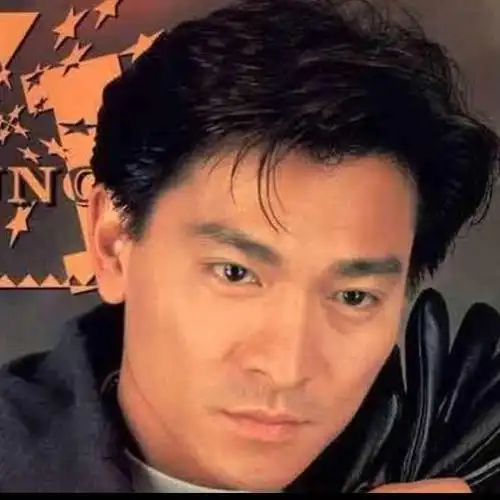 q版华仔一个要努力走出逆境的人