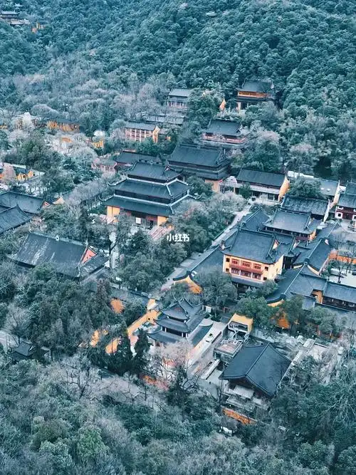 重度艺术加工|缠绕在密林中的灵隐寺