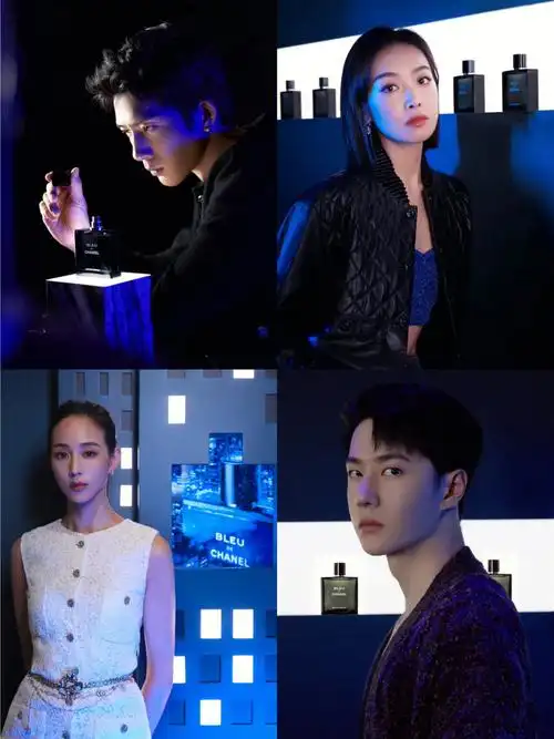 井柏然宋茜王一博张钧甯