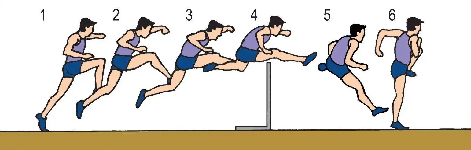 【"空中"齐战"疫",凤南中心幼儿园在行动】— 阳光体育篇