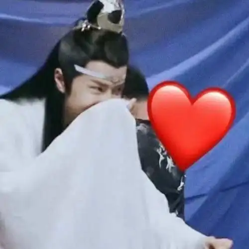 情侣头像魔道祖师陈情令肖战王一博