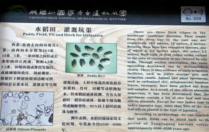 城头山古文化遗址 (湖南省澧县遗址)