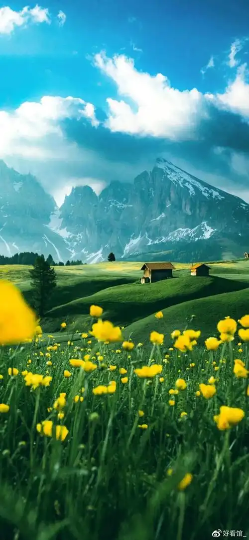 4k超高清竖屏很火的潮图壁纸高清1080p