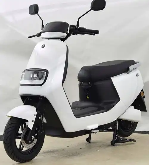 电动两轮摩托车车型筛选