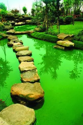 自然石头水景意向