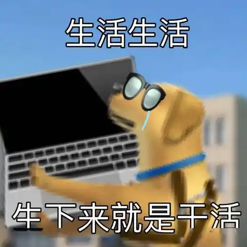 微信热门表情包好赤鸡