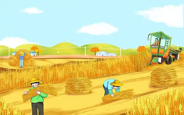 丰收收割麦田人物喜悦金色秋天