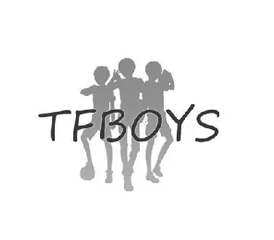 em>tfboys /em>