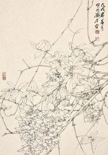 未君紫藤专号(下)|我曾画下一树最美的春天