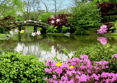 与大自然同眠同醒——最科学的睡眠建议