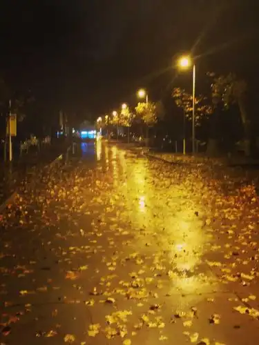 清河雨夜的路灯双语