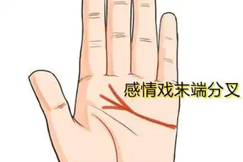 感情线末端分叉代表什么意思