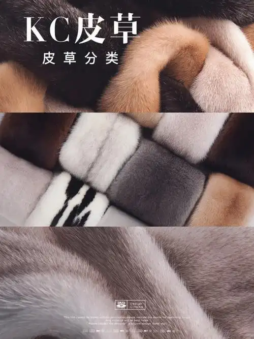 kc皮草你知道皮草都分为哪些种类吗