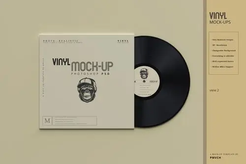 复古逼真黑胶唱片包装纸袋设计贴图样机模板 vinyl mockups