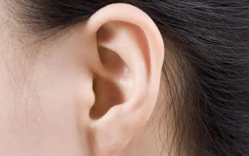 轩辕易学告诉女生怎样通过耳朵看命运