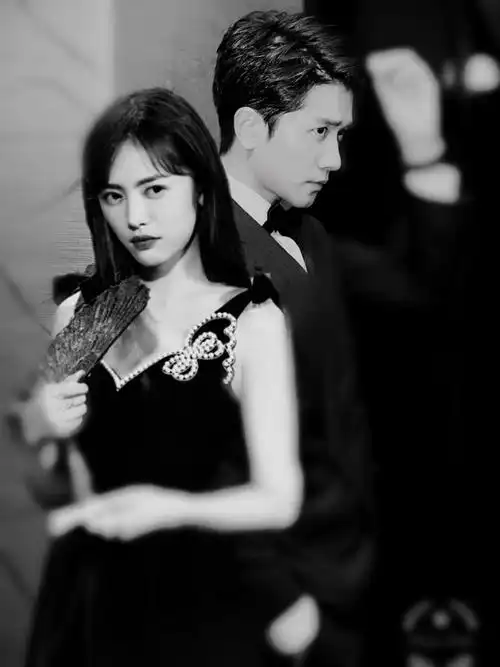 彭冠英蔡文静美图集锦楼