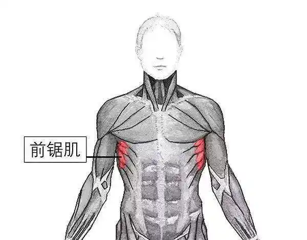 把蝴蝶骨练下去就能好?