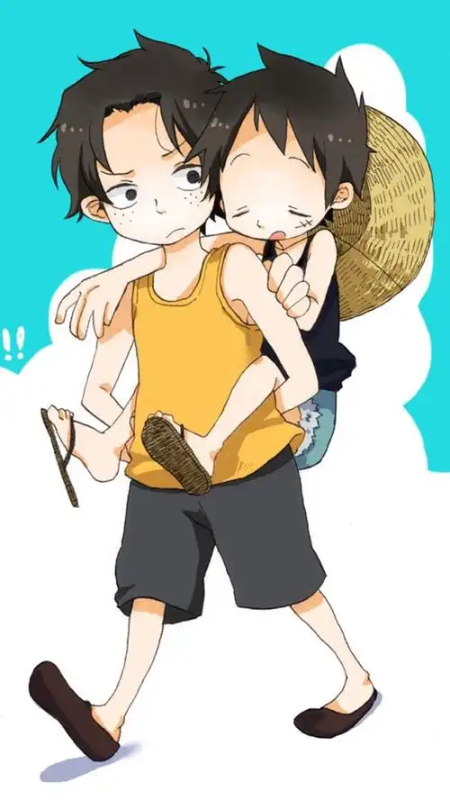 可爱的两兄弟.海贼王