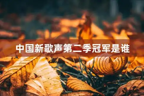 中国新歌声第二季冠军是谁