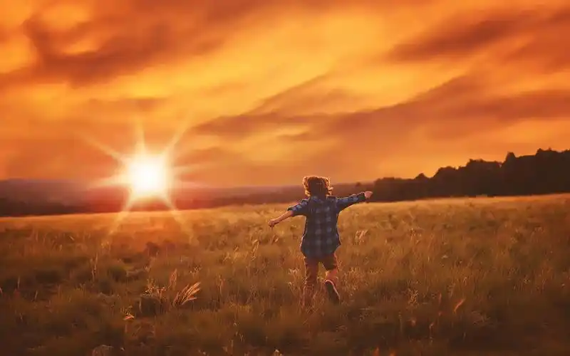 谁有这张图的原图?