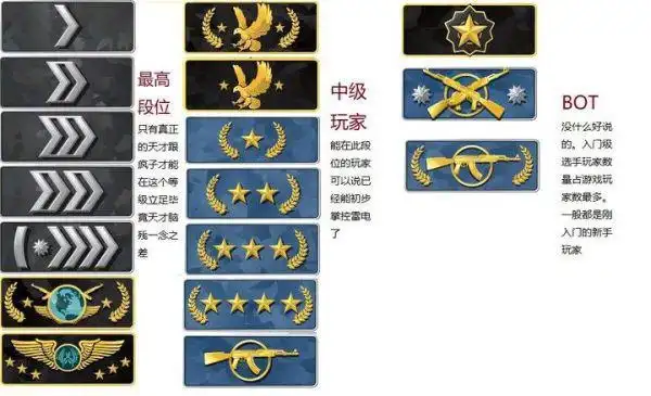 谁有csgo的段位截图