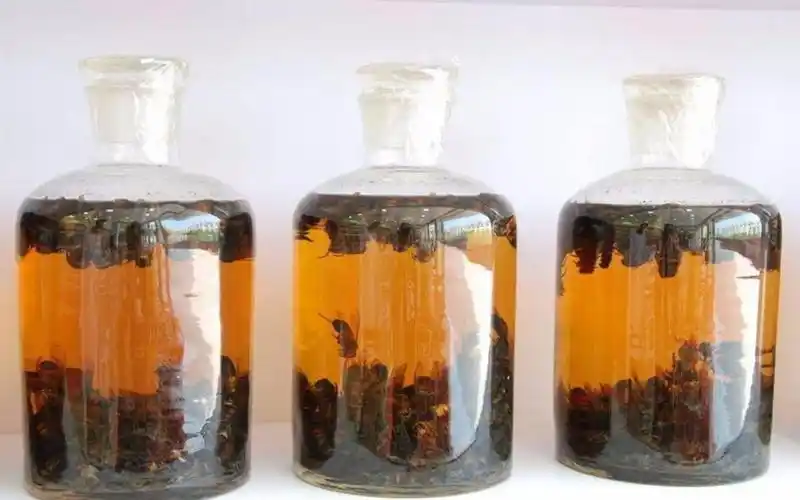 当归泡酒的功效与作用怎么用效果最好