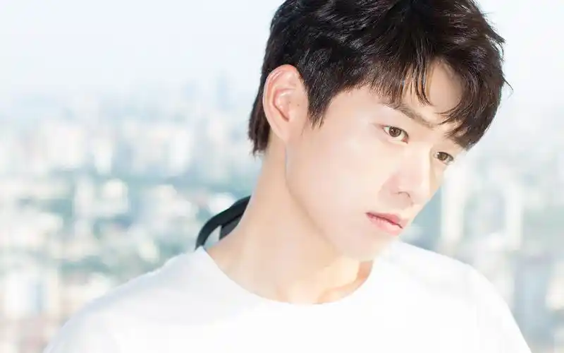 魏大勋帅气高清电脑桌面壁纸图片