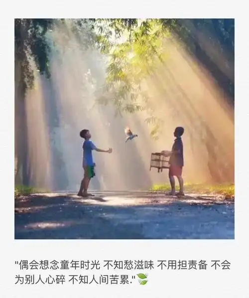 "(自做文字图片 背景 备忘录 语录 情书 句子 关注一个备忘