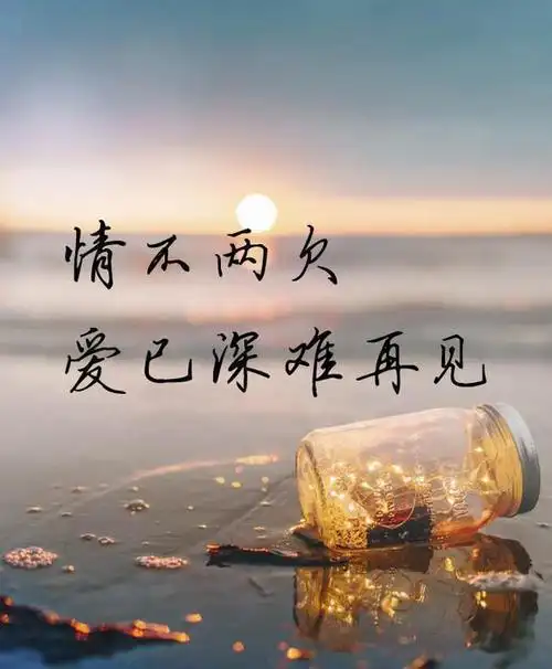 也许我就是一只被拔掉了甲壳的刺猬,遍体鳞伤之后却还是不懂得放手.