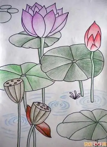 开封夏天景色简笔画