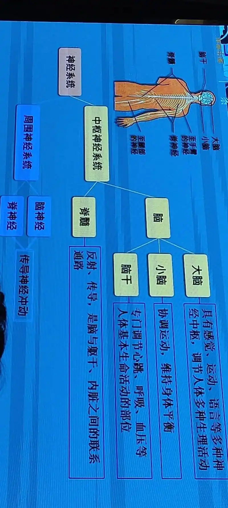 这是人体的八大系统和大健康 - 抖音