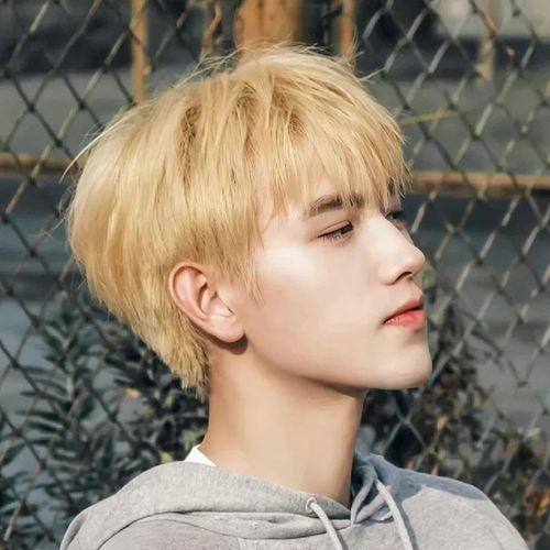 陈飞宇李峋同款假发男士发型短直发帅气学生短发米白色男生全头套