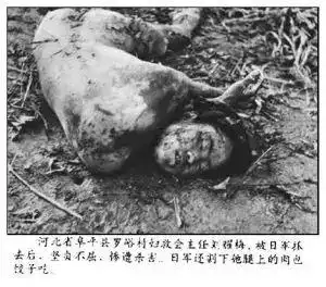 抗日时期牺牲最悲壮最惨烈的女英雄刘耀梅烈士