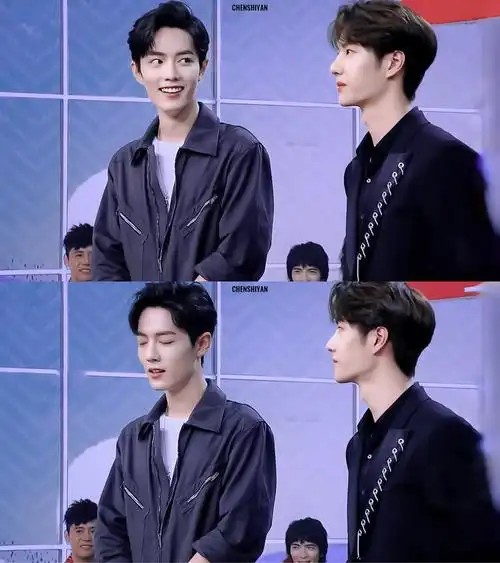 肖战 王一博天天向上