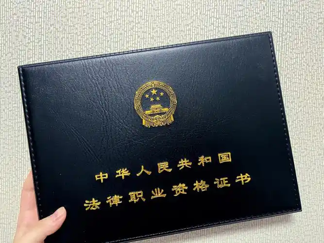 法考领证丨在sfb有备案的杠精