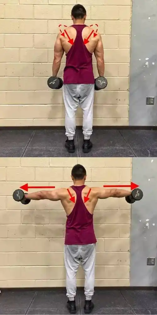 肩部训练如何削弱【上斜方肌】发力