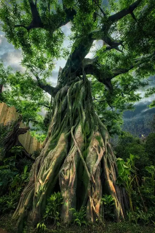 从浩瀚古远的侏罗纪世界变成了"阿凡达"如仙境般梦幻的潘多拉星球