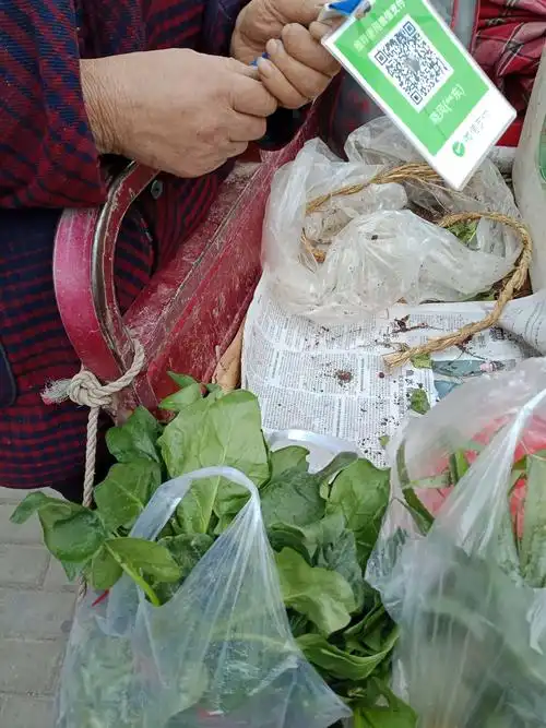 耿洁提着一堆菜,心情愉悦地回家准备午饭去